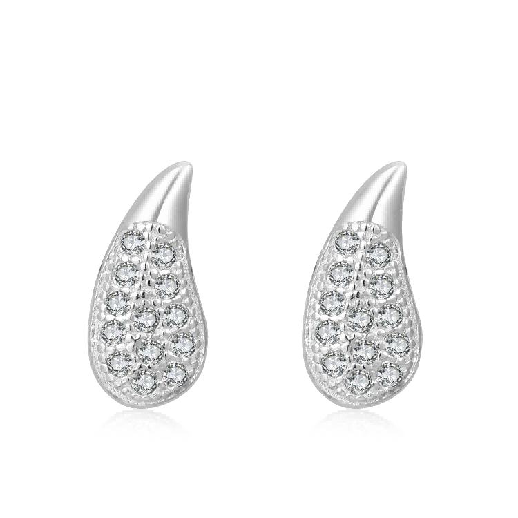 925 Silver Earrings