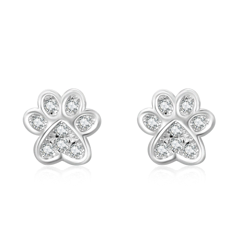 925 Silver Earrings