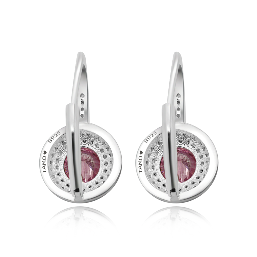925 Silver French Lock Earrings