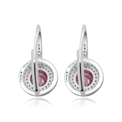 Real 925 Sterling Silver French Lock with Zircon Earrings